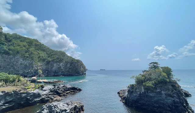 Palace Holiday House, sleeps 8, Seaside Exclusive Villa