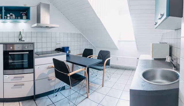 Penthouse apartment near the city center