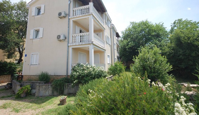 Pet friendly apartment Anita kat