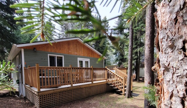 Pinescape: Cabin WiFi Wood Fireplace Pet friendly Fish Relaxation