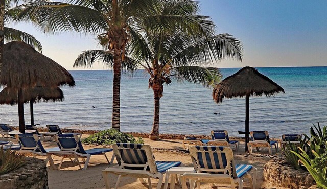 Private Beachfront w/Lanai-Pool-Tropical Gardens!