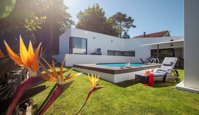 Quiet villa + swimming pool in Santiago de Compostela