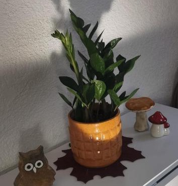 ruhige Sout. Whg. Feldrandnähe