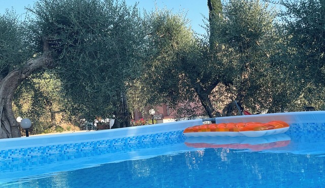 Shelter among olive trees, Tuscan countryside, a stone's throw from characteristic cities