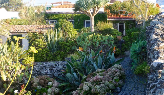 Spacious, generously furnished house in a row of ancient fishermen’s houses