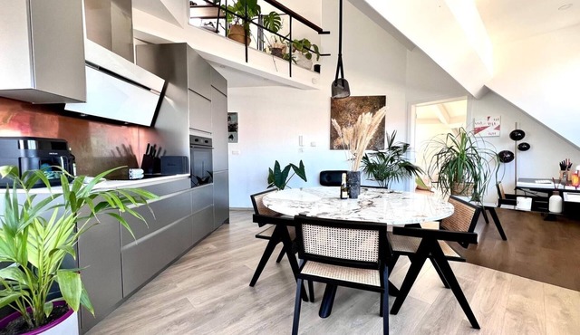 Spacious Loft - View over the roofs of Brussels