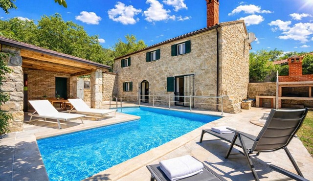 Stone Villa Galant with Pool, Brgudac, Croatia