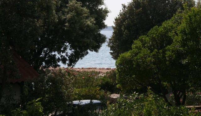 Studio flat near beach Mandre, Pag (AS-6518-a)