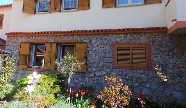 Studio with terrace and air conditioning