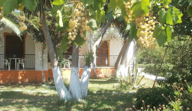 Studios Dimitris