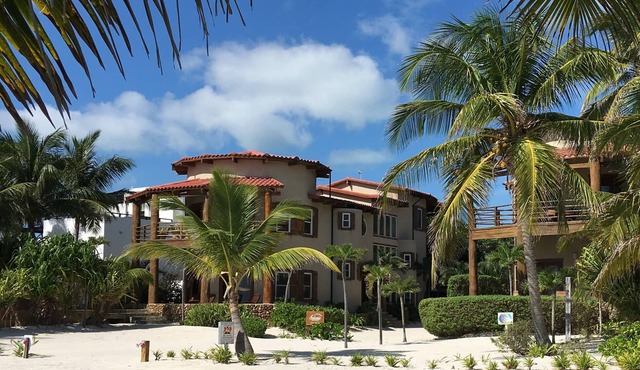 Stunning Luxury Beachfront Villa. Dipping Pool and Full Pool. 5BDR