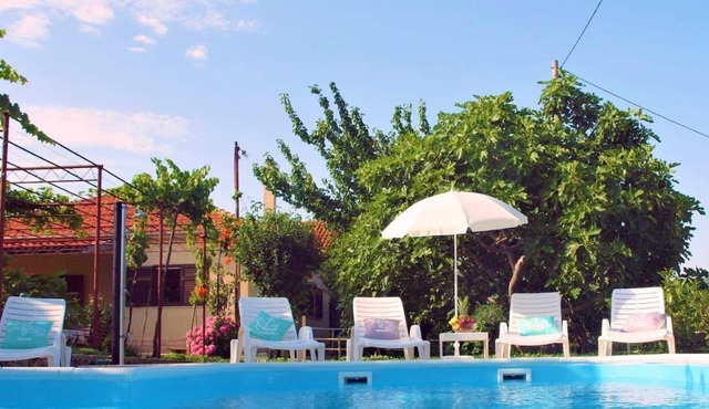 Sunflower house with pool and large garden