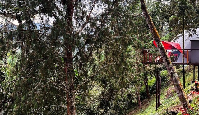 Terrific cabin in Floridablanca, Santander, Colombia!