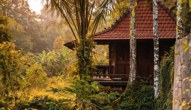 The Jungle Villa Ubud Bali