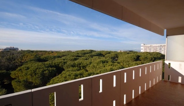 Top floor apartment with sea view
