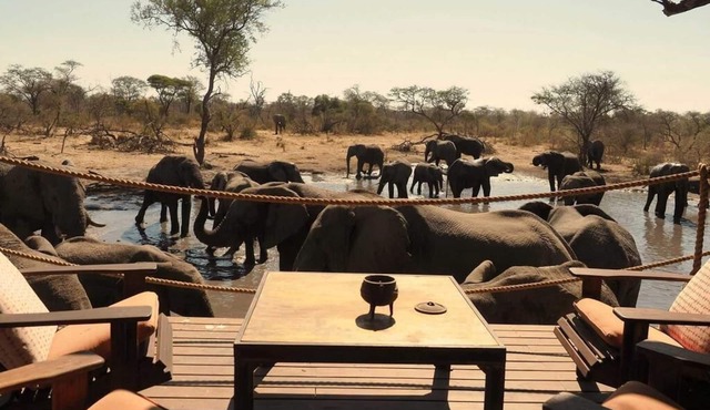 Total privacy in Botswana's wilderness!