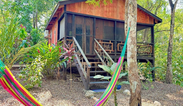 Toucan at Lost Compass Cabanas