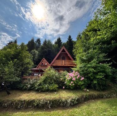 Twin Forest, riverside cabin