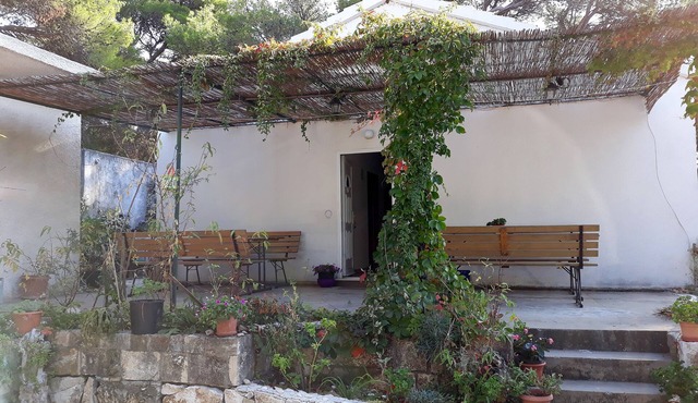 Two bedroom apartment with terrace Cove Blaca, Mljet (A-4899-a)