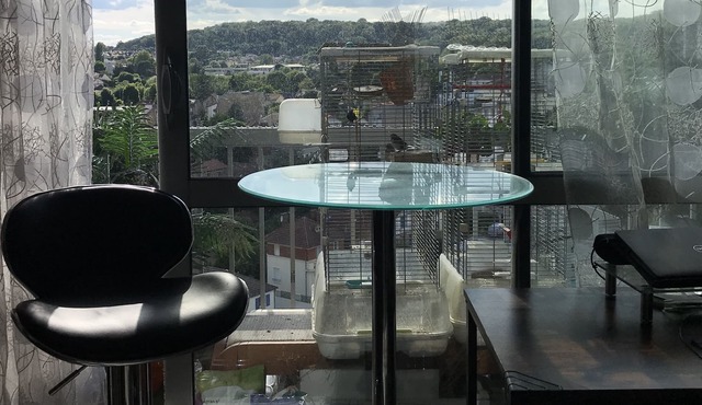 Unique view 15mn from Paris in safe and green neighborhood - spa and fiber wifi