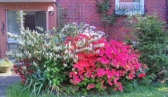 Vacation apartment close to the green city park, close to the harbor and water