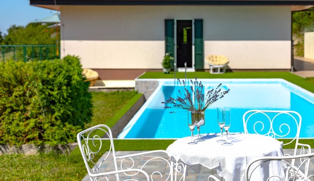 Villa Plešivica View