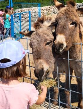 Villa Suzi - Family Farm Stay with Donkeys, Pool and Sea View near Rijeka