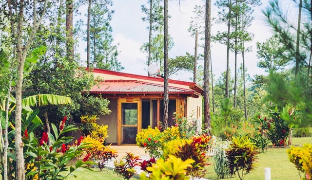 Villa w/AC & Pool - 1 mile to Big Rock Waterfall. GOLD STANDARD CERTIFIED.