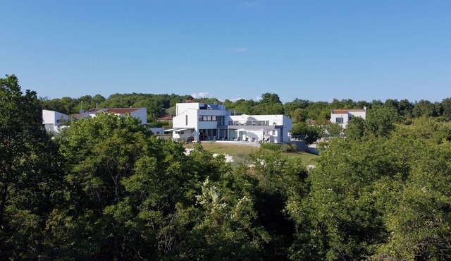 Villa with Private Pool Overlooking Olive Grove