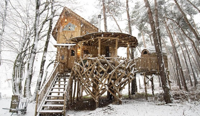 Warredal's most beautiful treehouse