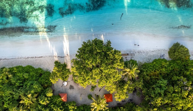 Whaleshark Beach