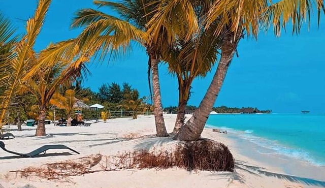 White Sand Inn