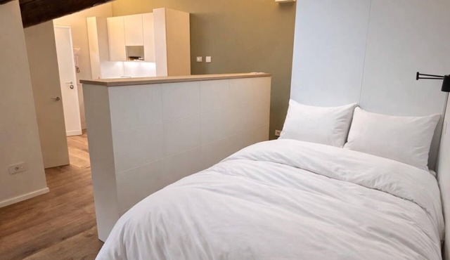 Wonderful charming attic in the heart of Brera