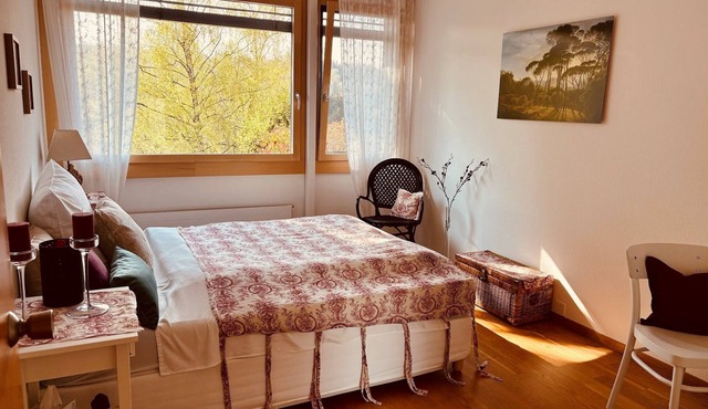 Zurich Hideaway! New! B&B on the Gold Coast