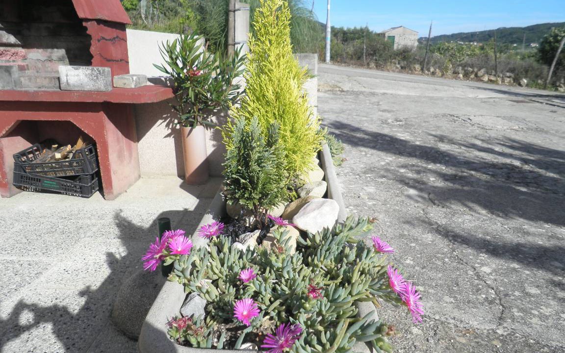 Photo of Others in Supetarska Draga