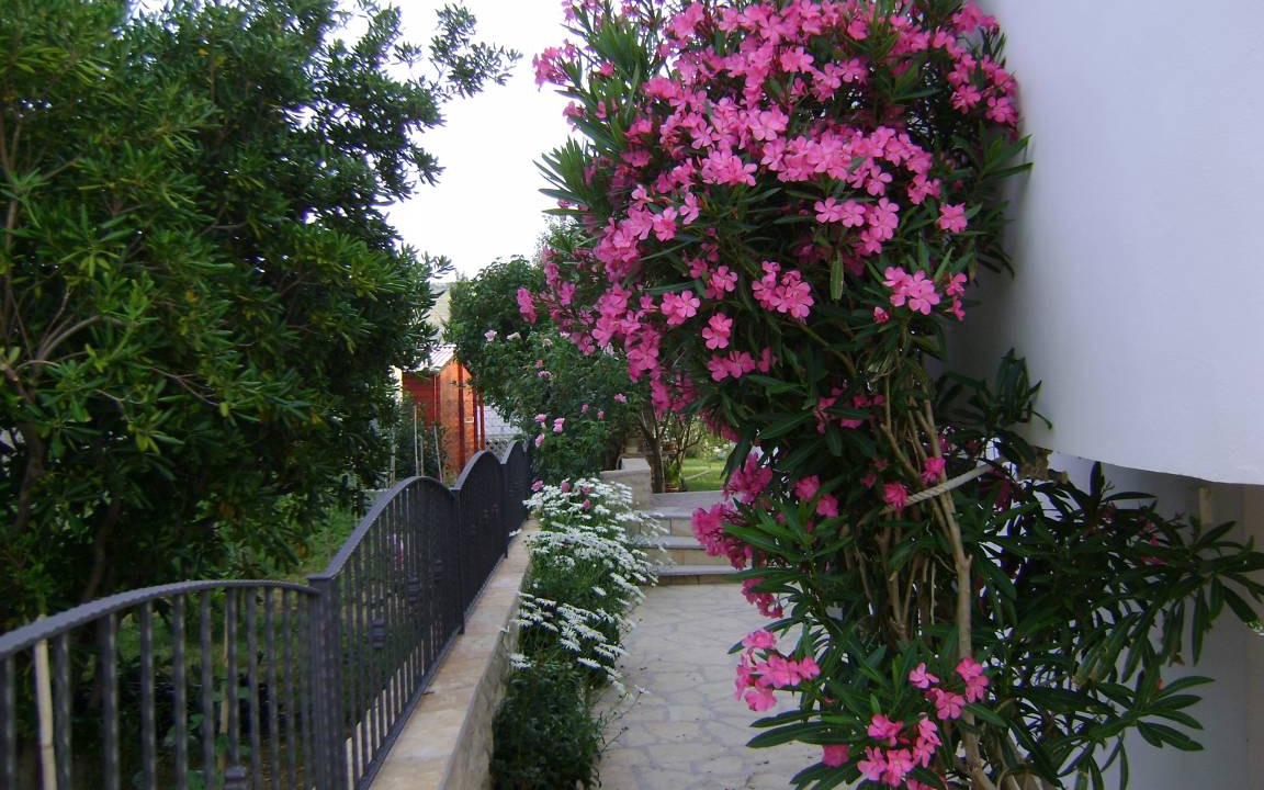 Photo of Others in Ljubac