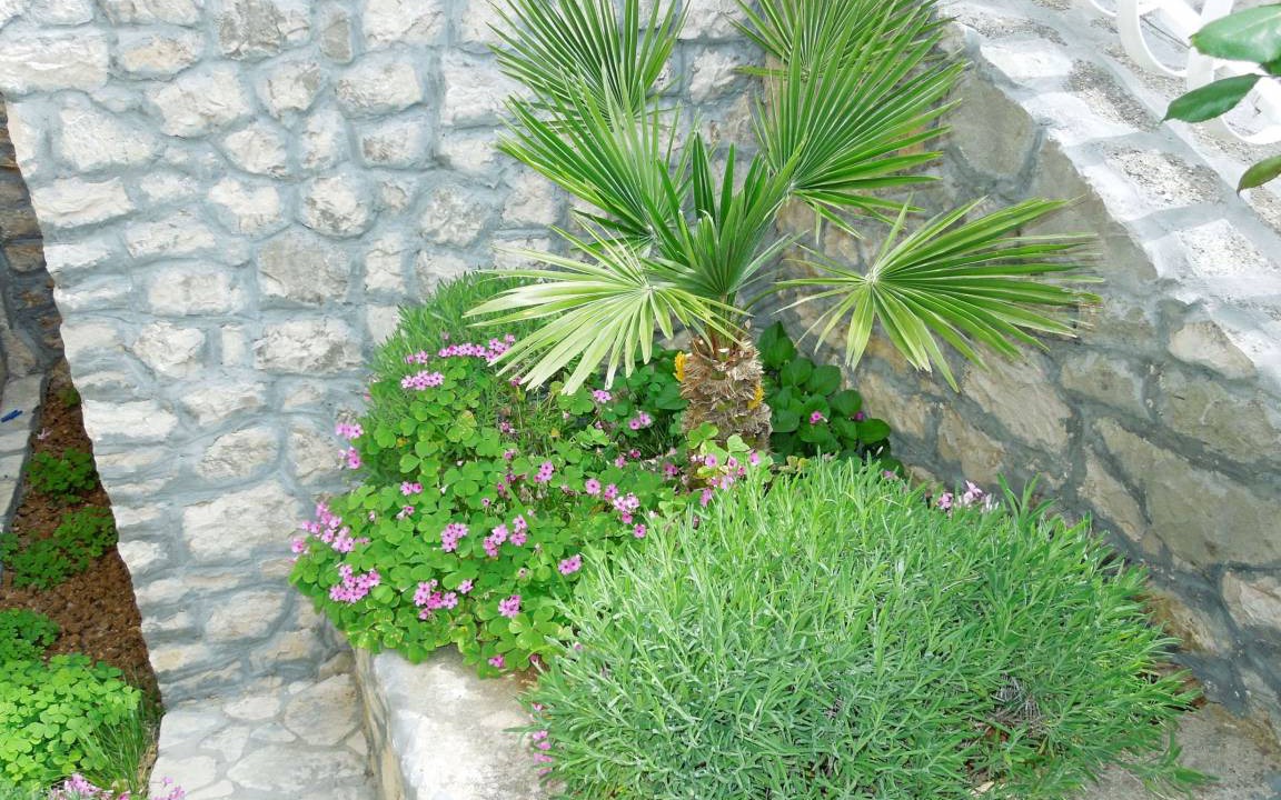 Photo of Others in Rabac