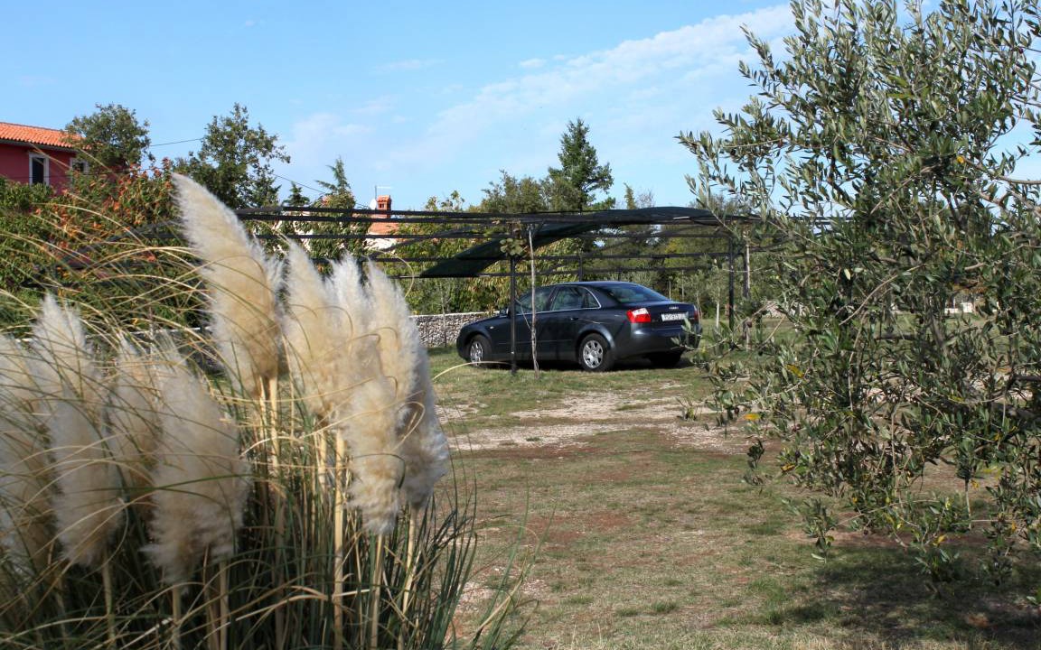 Photo of Others in Krnica