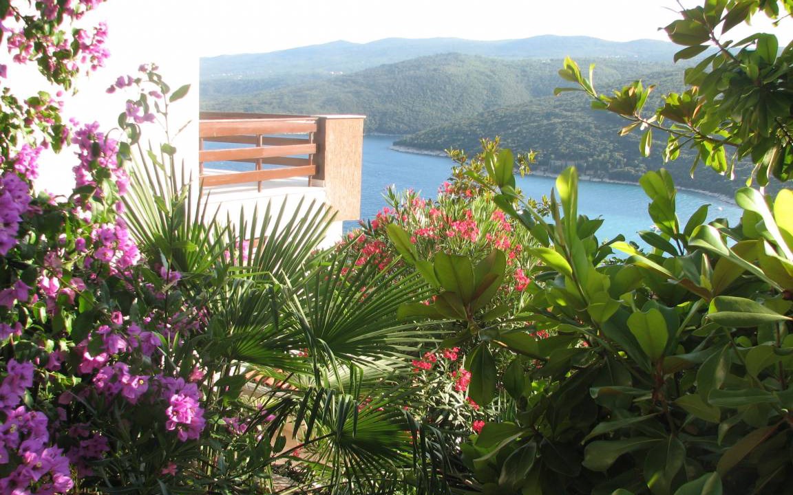 Photo of Others in Rabac