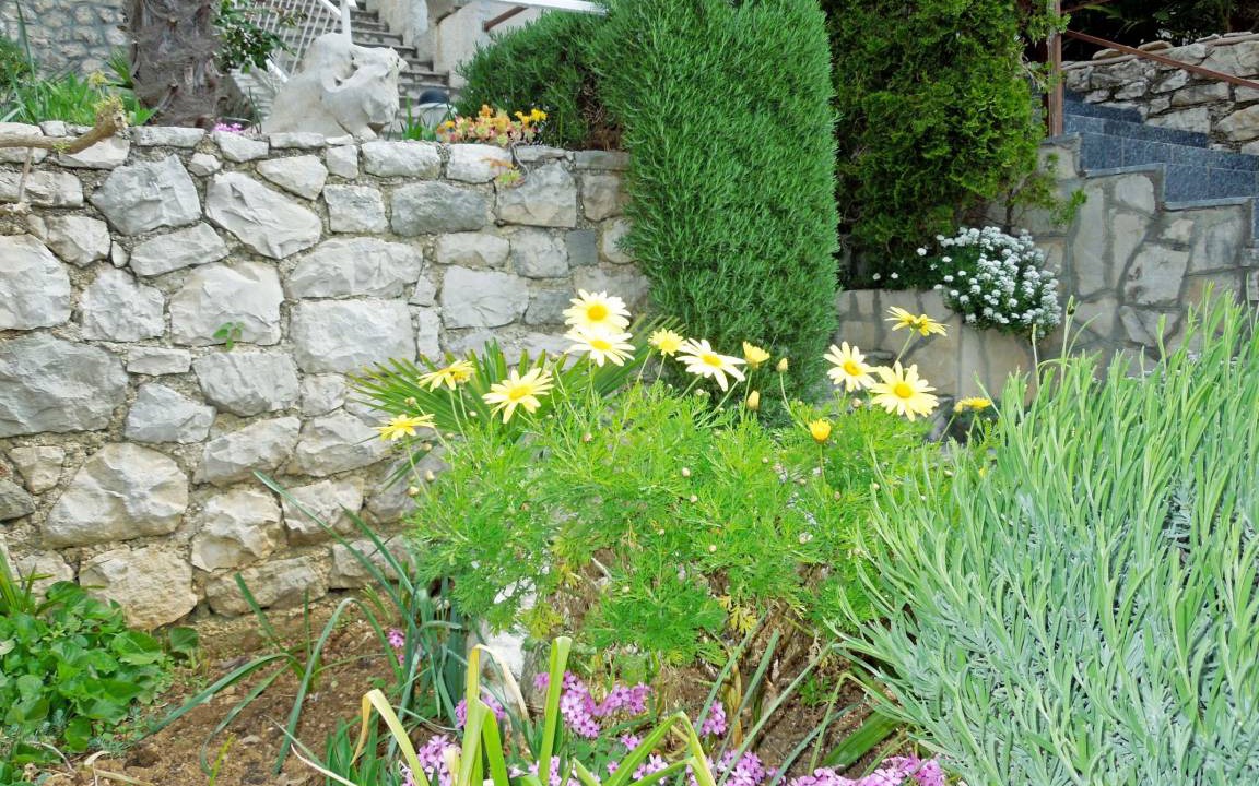 Photo of Others in Rabac
