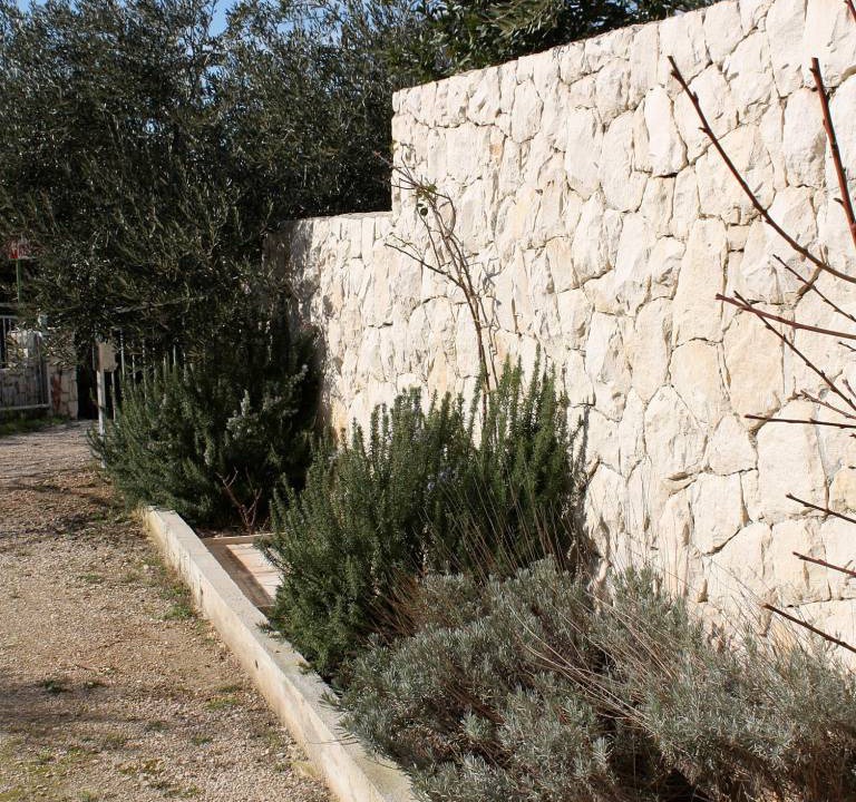 Photo of Others in Marusici