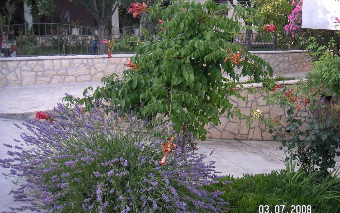Photo of Others in Ljubac
