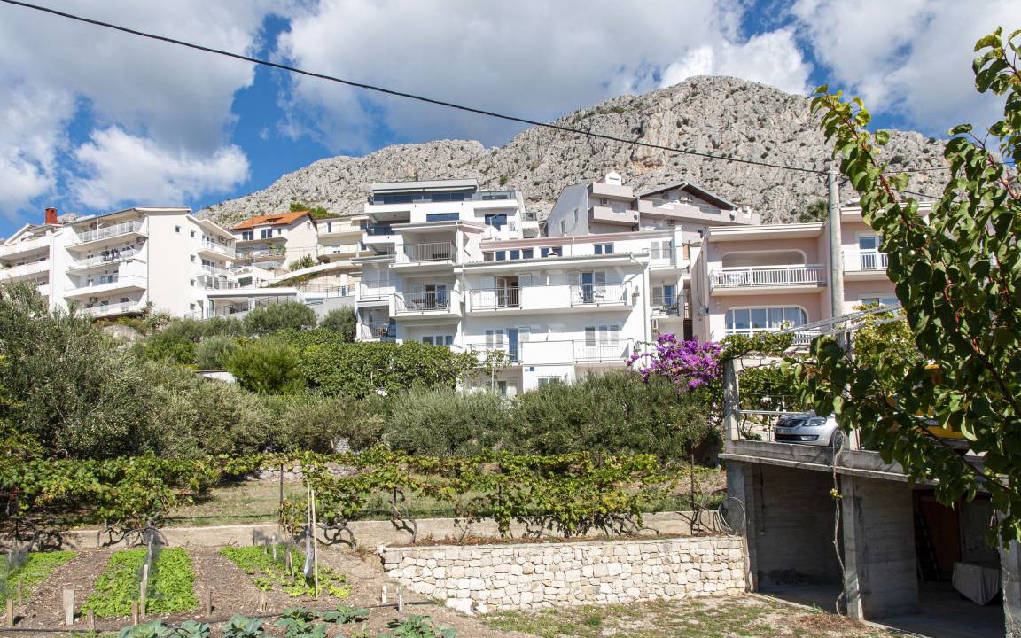 Photo of Others in Omis