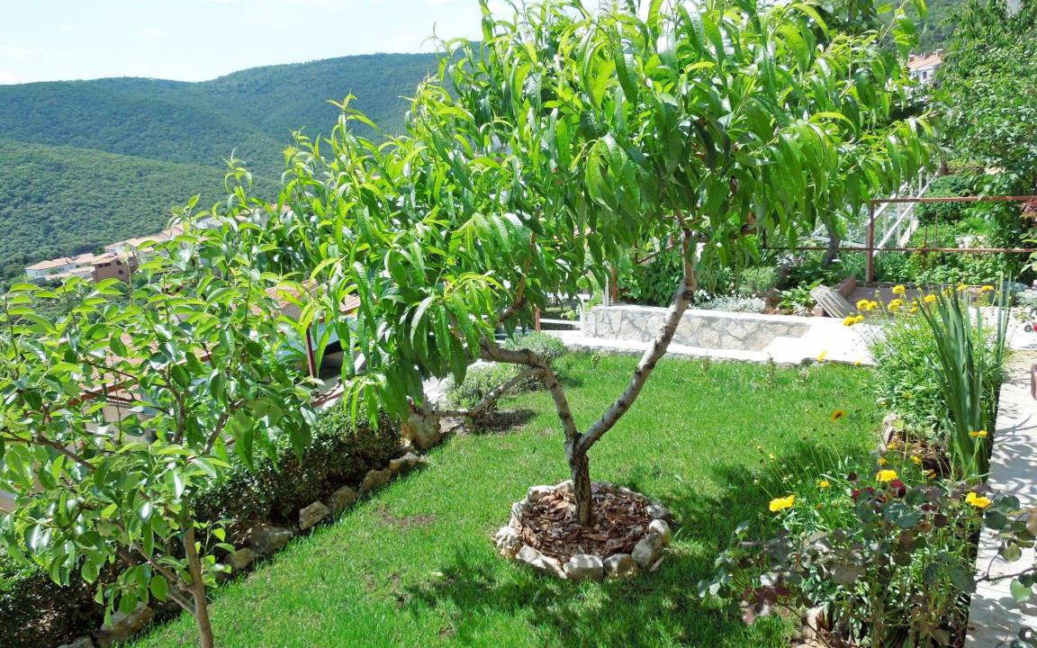 Photo of Others in Rabac