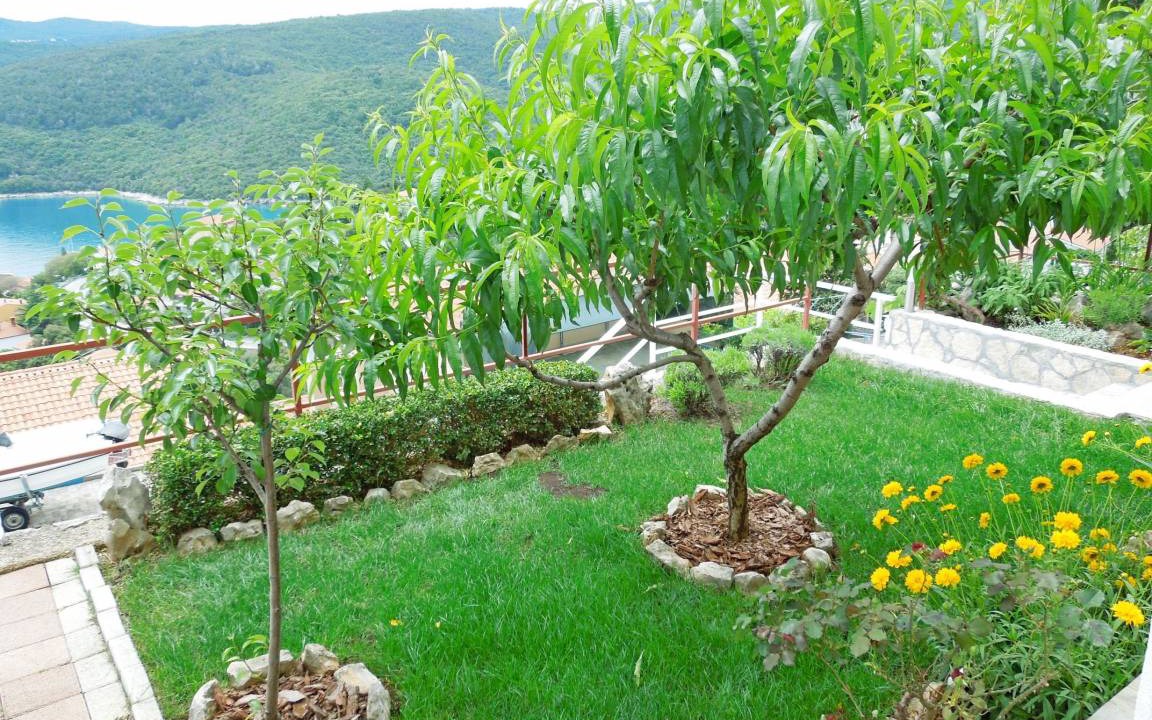 Photo of Others in Rabac