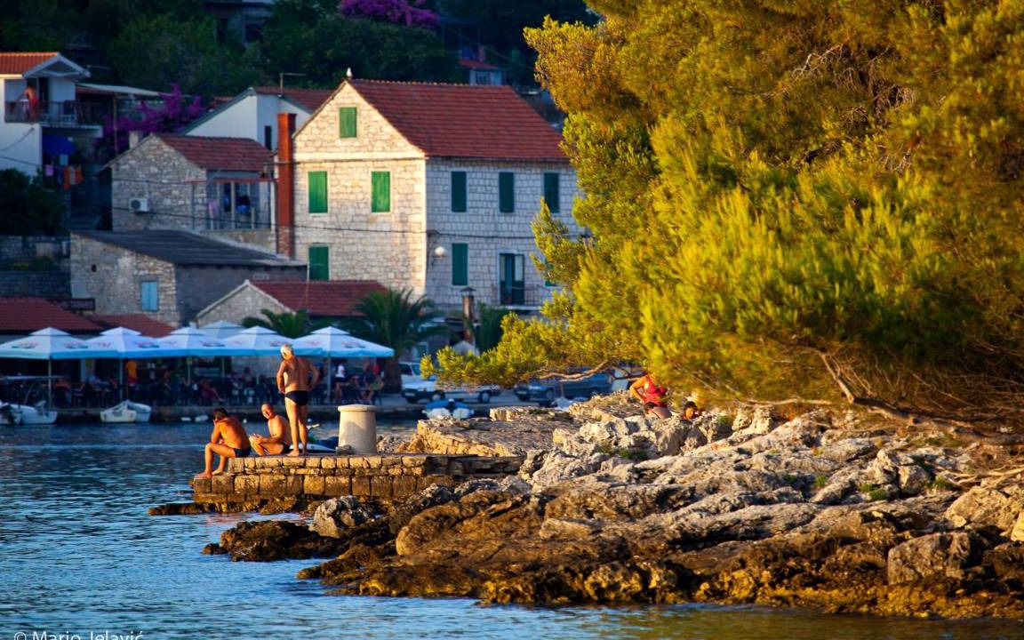 Photo of Others in Maslinica