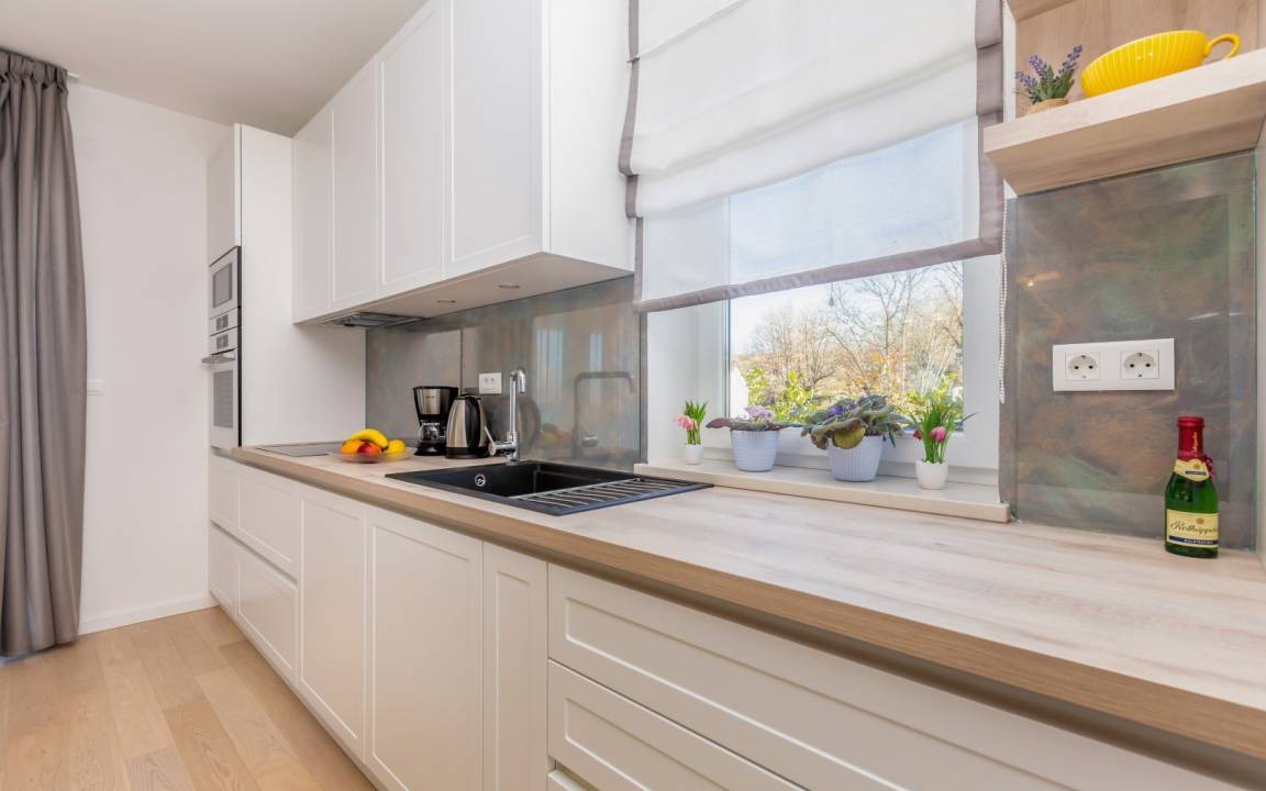 Photo of Kitchen in Milovcici