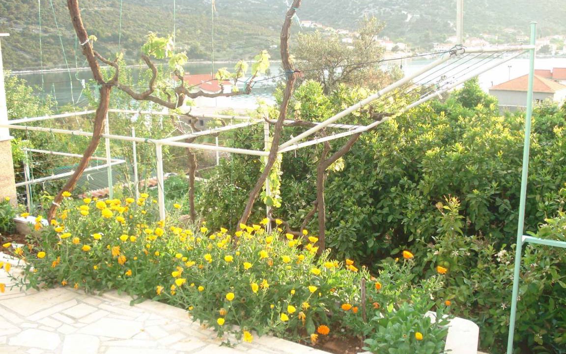 Photo of Outdoor in Vinisce