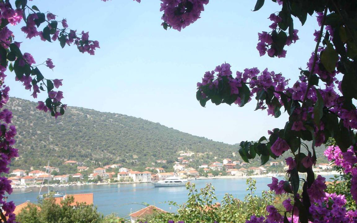 Photo of Others in Vinisce