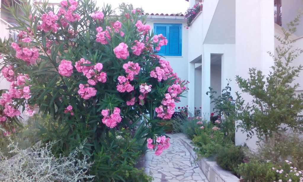 Photo of Buildings in Rabac